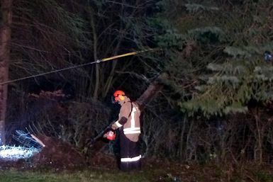 In Pinneberg sicherte die Feuerwehr eine Fichte, die in Oberleitung der Bahn zu fallen drohte, mit dem Greifzug. Danach wurde dieser zersägt. Foto: FF Pinneberg