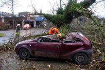 In Elmshorn fiel ein 25 Meter hoher Baum an der Straße Vormstegen auf einen Pkw Opel Corsa und zerstörte diesen komplett. Foto: Bunk